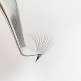 PROFESSIONAL VOLUME TWEEZER (HAND TESTED) - Mallyna® Lash & Brow